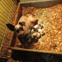 processed/6f6851cc-0b0e-448c-86df-fe251712fb1c/facility/18f9c09d-4581-4e57-8800-db881893cc44