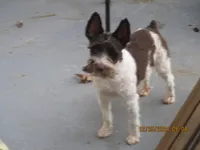 processed/6f6851cc-0b0e-448c-86df-fe251712fb1c/facility/193acd8b-33dc-4417-a0cc-fe5ba723cedf