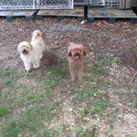 processed/6f6851cc-0b0e-448c-86df-fe251712fb1c/facility/42cc1fe6-5cd3-454c-aafb-4e7cc1faedef