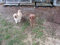 processed/6f6851cc-0b0e-448c-86df-fe251712fb1c/facility/42cc1fe6-5cd3-454c-aafb-4e7cc1faedef