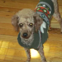 processed/6f6851cc-0b0e-448c-86df-fe251712fb1c/facility/6c8f37dd-d6ac-4af6-9de7-505c83be30ae