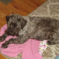 processed/6f6851cc-0b0e-448c-86df-fe251712fb1c/facility/91b59195-896a-4a9f-8386-8e45beb63dbf