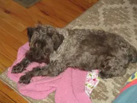 processed/6f6851cc-0b0e-448c-86df-fe251712fb1c/facility/91b59195-896a-4a9f-8386-8e45beb63dbf