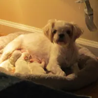 processed/6f6851cc-0b0e-448c-86df-fe251712fb1c/facility/da736b79-3116-4d21-88ce-cf10782a1cea