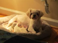 processed/6f6851cc-0b0e-448c-86df-fe251712fb1c/facility/da736b79-3116-4d21-88ce-cf10782a1cea