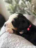 processed/6f6be528-bad3-4779-9281-b3e441da7b6e/listing/2c4bea59-b3e0-4016-ab41-b015a089edc4/25f58840-dbab-4a89-bb98-b35807b89cfd