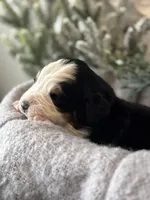 processed/6f6be528-bad3-4779-9281-b3e441da7b6e/listing/2c4bea59-b3e0-4016-ab41-b015a089edc4/3e89512d-bc83-4fb6-85ce-2d666df54fe6