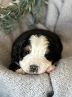 processed/6f6be528-bad3-4779-9281-b3e441da7b6e/listing/2c4bea59-b3e0-4016-ab41-b015a089edc4/96ce6113-ec51-4914-913d-d31d274d54c5