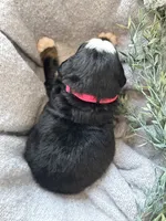 processed/6f6be528-bad3-4779-9281-b3e441da7b6e/listing/2c4bea59-b3e0-4016-ab41-b015a089edc4/d0359ebc-0691-4bec-89f6-66b23c1720c5