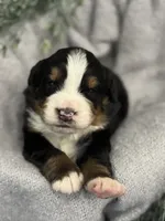 processed/6f6be528-bad3-4779-9281-b3e441da7b6e/listing/44263db8-0f1d-46e3-882b-d16dd188dd8a/b5e14bb7-7440-4b1d-acdf-c51c2755a312