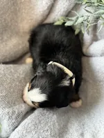 processed/6f6be528-bad3-4779-9281-b3e441da7b6e/listing/9d6457b5-5bc5-4d48-a38a-84e7d3c43d91/66e46610-80a8-4bbb-941f-f41cecad4d61