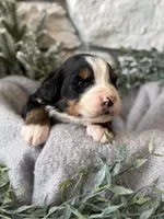 processed/6f6be528-bad3-4779-9281-b3e441da7b6e/listing/9d6457b5-5bc5-4d48-a38a-84e7d3c43d91/6a11de6c-5ba8-4579-bb82-3d134736558a