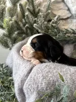 processed/6f6be528-bad3-4779-9281-b3e441da7b6e/listing/9d6457b5-5bc5-4d48-a38a-84e7d3c43d91/82908e03-10c6-4a61-be79-6013311e33c7