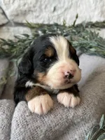 processed/6f6be528-bad3-4779-9281-b3e441da7b6e/listing/9d6457b5-5bc5-4d48-a38a-84e7d3c43d91/91814311-c063-4642-b52a-4d6f358730a5