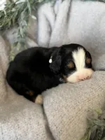 processed/6f6be528-bad3-4779-9281-b3e441da7b6e/listing/9d6457b5-5bc5-4d48-a38a-84e7d3c43d91/f3e1c5ea-be68-494e-a912-9154c2628b6a