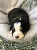 processed/6f6be528-bad3-4779-9281-b3e441da7b6e/listing/b574a093-de1e-47fc-9f52-b11881124d60/236a814a-dd32-4fb0-acfc-6957f5af6697