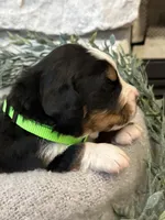 processed/6f6be528-bad3-4779-9281-b3e441da7b6e/listing/b574a093-de1e-47fc-9f52-b11881124d60/6ba7b5b7-e63d-4d9f-bb82-b7f772e47ea6