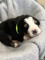 processed/6f6be528-bad3-4779-9281-b3e441da7b6e/listing/b574a093-de1e-47fc-9f52-b11881124d60/76339858-6759-4fdc-9d90-cff69ae29f42