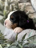 processed/6f6be528-bad3-4779-9281-b3e441da7b6e/listing/c6ce9161-9850-455a-b20b-1fc1ea515f65/b93edb4c-bb23-45bb-891e-4b6567f12a14