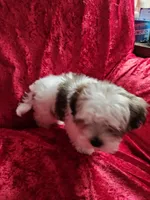 processed/6f6efdc6-86e5-4fec-94e1-c5245134c2d5/listing/b2e9e300-661e-482a-8565-47046f5927cd/0b3f85ac-af90-4b31-8a24-7348e24643df