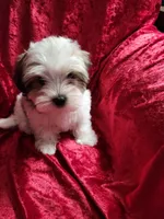 processed/6f6efdc6-86e5-4fec-94e1-c5245134c2d5/listing/b2e9e300-661e-482a-8565-47046f5927cd/44536687-db86-416a-a4ee-f3b5d395c058