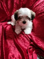 processed/6f6efdc6-86e5-4fec-94e1-c5245134c2d5/listing/b2e9e300-661e-482a-8565-47046f5927cd/5311cc5a-3811-49ec-bc57-202795351450