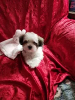 processed/6f6efdc6-86e5-4fec-94e1-c5245134c2d5/listing/b2e9e300-661e-482a-8565-47046f5927cd/82d0b607-cea7-4808-b172-3e9b7d276382