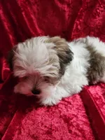 processed/6f6efdc6-86e5-4fec-94e1-c5245134c2d5/listing/b2e9e300-661e-482a-8565-47046f5927cd/d9f3f74e-5545-4a32-80f0-6cae303026eb