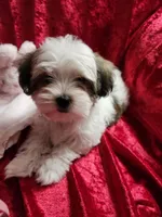 processed/6f6efdc6-86e5-4fec-94e1-c5245134c2d5/listing/b2e9e300-661e-482a-8565-47046f5927cd/e46fa909-1cc5-4511-a127-2de444d88a2f