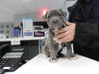 processed/6f75a7c4-cdaf-484a-9d4b-7bbc4de15207/listing/61ac947c-5bad-4c93-9aad-9b269068af3b/44da27dc-0ce2-4589-af4f-5cf23b4a4db0