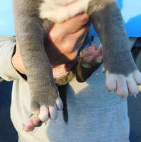 processed/6f75a7c4-cdaf-484a-9d4b-7bbc4de15207/listing/61ac947c-5bad-4c93-9aad-9b269068af3b/4658e4ec-c872-439f-b4d2-3edf7f2b4630