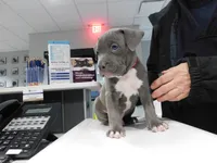 processed/6f75a7c4-cdaf-484a-9d4b-7bbc4de15207/listing/61ac947c-5bad-4c93-9aad-9b269068af3b/b40e54bb-2754-4af7-a536-4f356ea6ffbc