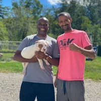 XL-MALE 3 "THE HULK", a male American Bully for sale in Holland, MI – Photo 8 of 10