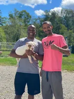 XL-MALE 3 "THE HULK", a male American Bully for sale in Holland, MI – Photo 8 of 10