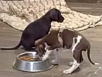 processed/6f7d42cb-eb3c-4731-a44a-65949bc024aa/listing/35ef4216-5e51-48fa-9f1e-b9d4af628a3c/19668896-2783-4f97-a990-338ffcc1ae09