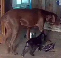 processed/6f7d42cb-eb3c-4731-a44a-65949bc024aa/listing/35ef4216-5e51-48fa-9f1e-b9d4af628a3c/3871da4b-7a17-4024-ac67-4eb4c05ed6e7