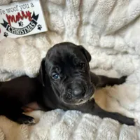 processed/6f7d42cb-eb3c-4731-a44a-65949bc024aa/listing/35ef4216-5e51-48fa-9f1e-b9d4af628a3c/3ca8a17c-a338-4b67-9928-b001b926ca61