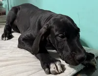 processed/6f7d42cb-eb3c-4731-a44a-65949bc024aa/listing/35ef4216-5e51-48fa-9f1e-b9d4af628a3c/4bbe216b-23da-4596-813a-16621564b991