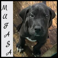 processed/6f7d42cb-eb3c-4731-a44a-65949bc024aa/listing/35ef4216-5e51-48fa-9f1e-b9d4af628a3c/5854c8e1-c509-4046-89a0-2ca51f27223d