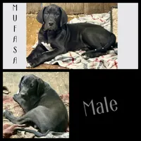 processed/6f7d42cb-eb3c-4731-a44a-65949bc024aa/listing/35ef4216-5e51-48fa-9f1e-b9d4af628a3c/755d31f9-e61b-4f6a-bbee-a573ada471bc