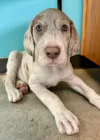 processed/6f7d42cb-eb3c-4731-a44a-65949bc024aa/listing/479cddde-85a6-487d-875b-d8146c78f55b/3c304870-085d-4731-a175-6c59318a0318