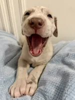 processed/6f7d42cb-eb3c-4731-a44a-65949bc024aa/listing/479cddde-85a6-487d-875b-d8146c78f55b/645ed187-3b84-417e-ac95-87acc0e0a0d6