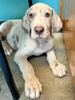 processed/6f7d42cb-eb3c-4731-a44a-65949bc024aa/listing/479cddde-85a6-487d-875b-d8146c78f55b/6dcfdb1c-80b7-411e-8d7b-6ed4359cc672