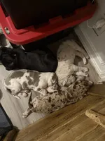 processed/6f7d42cb-eb3c-4731-a44a-65949bc024aa/listing/479cddde-85a6-487d-875b-d8146c78f55b/78821256-9b13-47eb-9721-4fa114250b3a