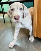 processed/6f7d42cb-eb3c-4731-a44a-65949bc024aa/listing/479cddde-85a6-487d-875b-d8146c78f55b/9c324bdb-af08-47ac-9c3b-55424ff563d1