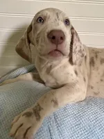 processed/6f7d42cb-eb3c-4731-a44a-65949bc024aa/listing/479cddde-85a6-487d-875b-d8146c78f55b/dc32327b-5dd8-4655-84ca-f95e59522b74