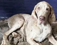 processed/6f7d42cb-eb3c-4731-a44a-65949bc024aa/listing/479cddde-85a6-487d-875b-d8146c78f55b/ef10bdfe-9fcc-44ed-a0c2-1696d7ba1d32