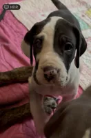 processed/6f7d42cb-eb3c-4731-a44a-65949bc024aa/listing/65da031b-8b2d-416b-9f34-799bf9e6ccfc/3dd231fc-1d0f-4989-98e8-7d910f77014c