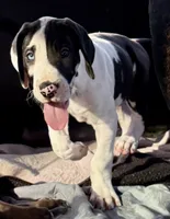 processed/6f7d42cb-eb3c-4731-a44a-65949bc024aa/listing/65da031b-8b2d-416b-9f34-799bf9e6ccfc/727cbba4-789e-4b22-9184-68d21826d092