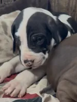 processed/6f7d42cb-eb3c-4731-a44a-65949bc024aa/listing/65da031b-8b2d-416b-9f34-799bf9e6ccfc/b09921f7-be8d-4df2-90c4-42e4216ea2b0